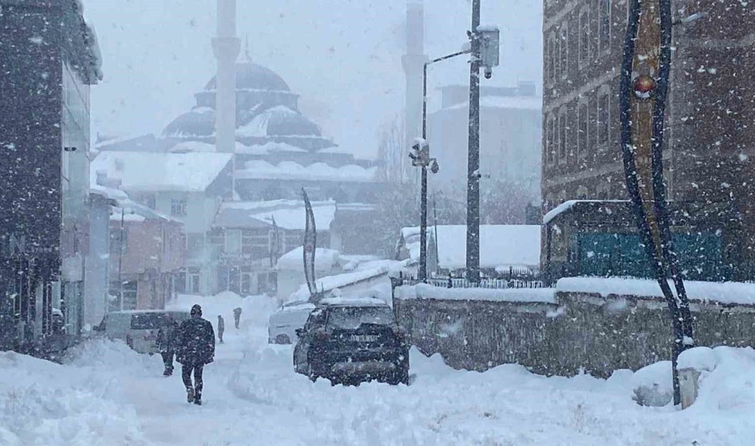 Karlıova'da yeniden etkisini gösteren kar yağışı, ilçe merkezini ve yüksek